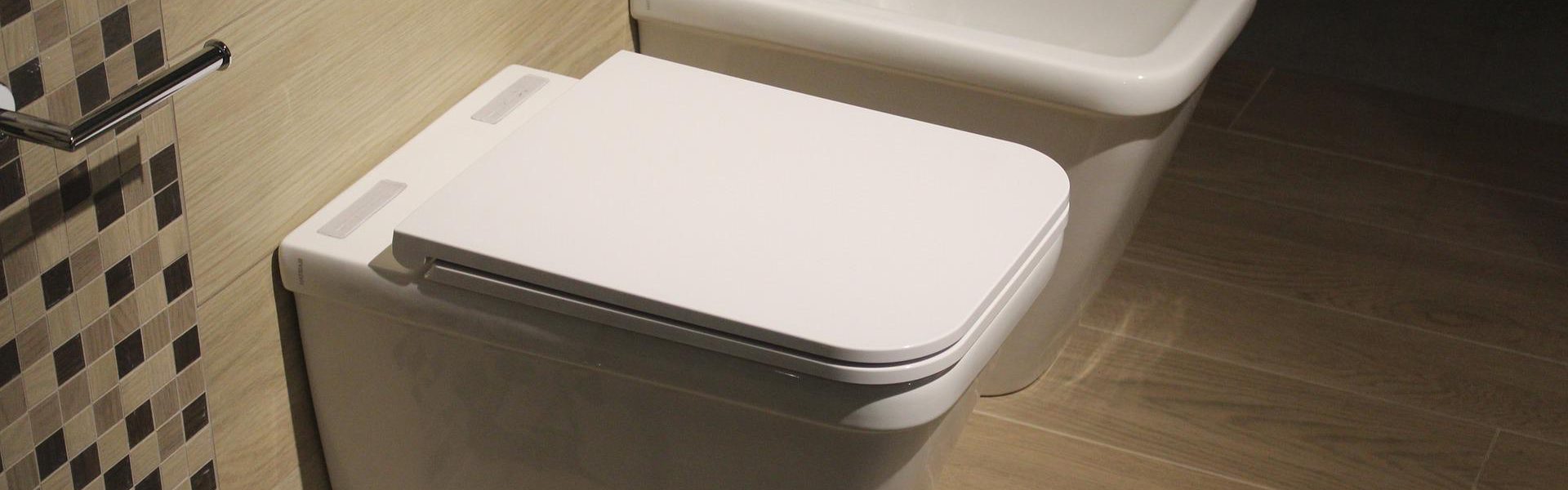 bidet